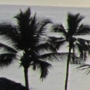 Meet your Posher, Connie